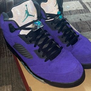 Air Jordan Alternate “Grape” 5s